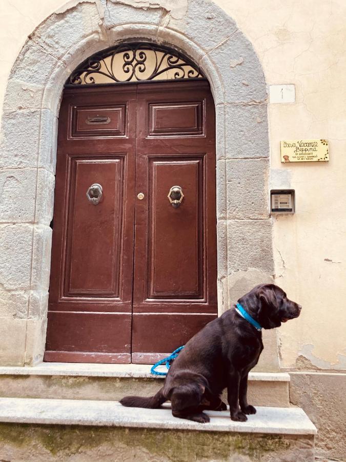 Casa Vacanze Beppina Cortona Bagian luar foto
